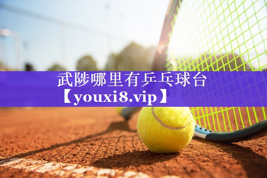 武陟哪里有乒乓球台