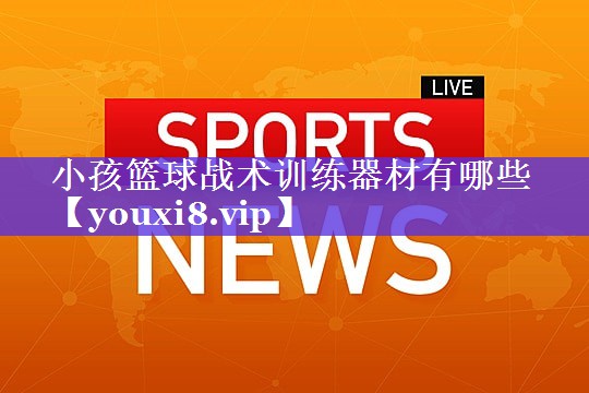 小孩篮球战术训练器材有哪些 小孩篮球战术训练器材有哪些