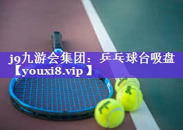 乒乓球台吸盘 乒乓球台吸盘